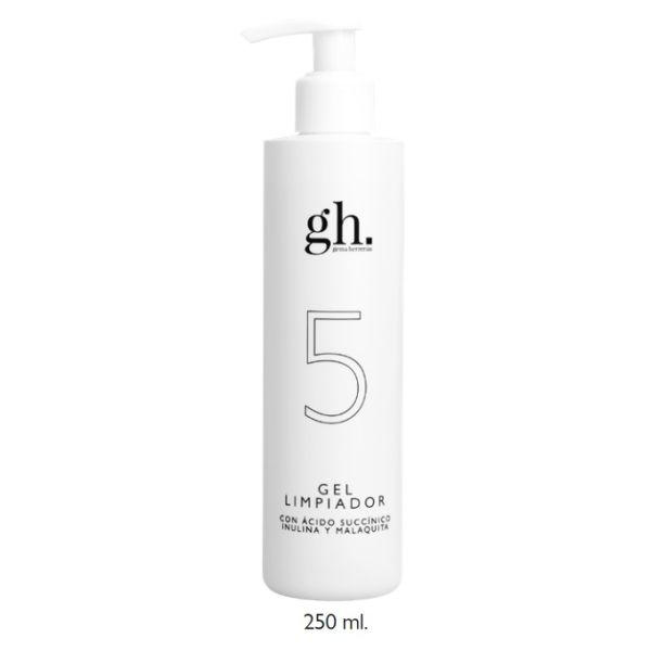 GH 5 GEL LIMPIADOR 250 ML