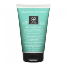 APIVITA ACOND EQUILI RAIZ GRASA PUNTA SECA 150ML