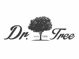 Dr. Tree